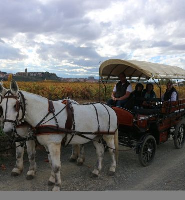 Paseos en carruaje por las bodegas y Viñedos de Haro en La Rioja