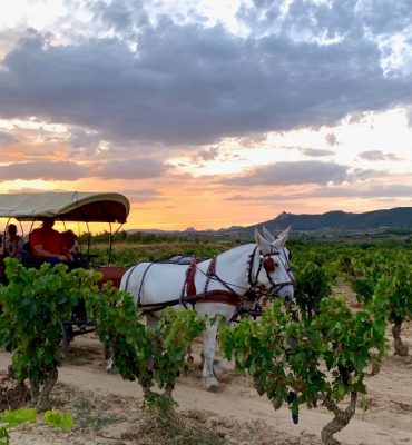 Paseos en carruaje por las bodegas y Viñedos de Haro en La Rioja